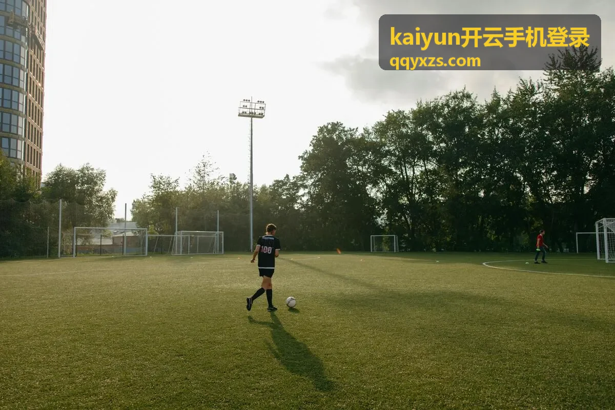 kaiyun开云手机登录登录方式说明配图 1